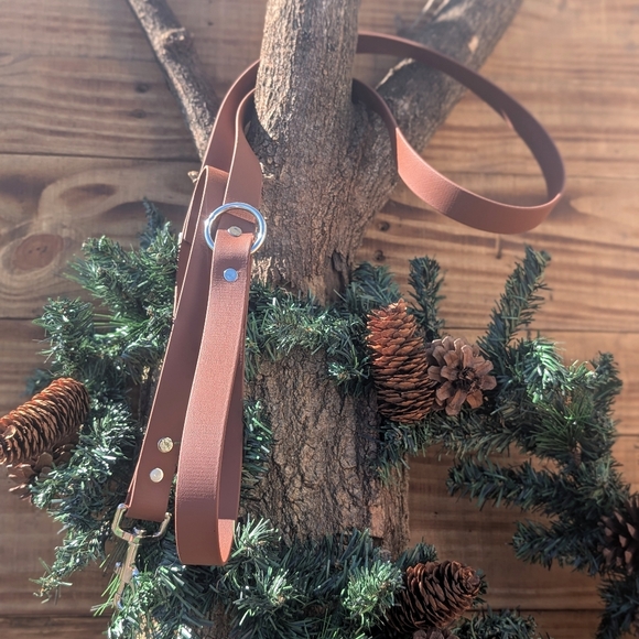 Biothane Leash - Picture 1 of 1